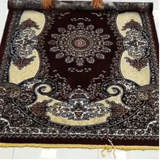 Area rug being cleaned in Erie, PA