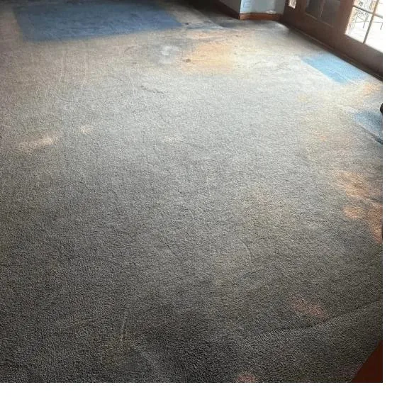 Carpet with water staining before cleaning in Erie, PA