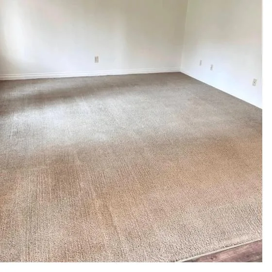 Freshly cleaned carpet in an empty Erie, PA room