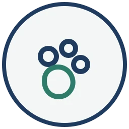 Pet stain and odor removal icon