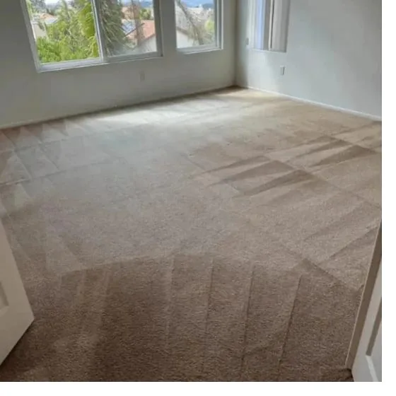 Move-out carpet cleaning in an Erie, PA rental