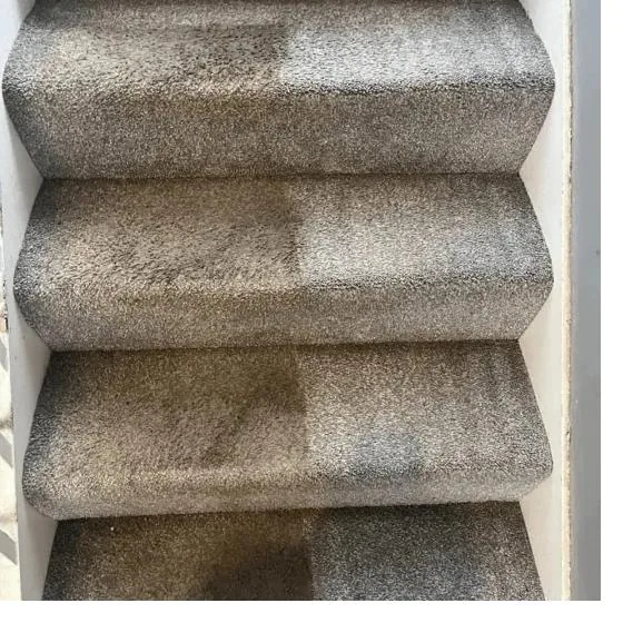 Staircase carpet cleaned tread by tread in Erie, PA