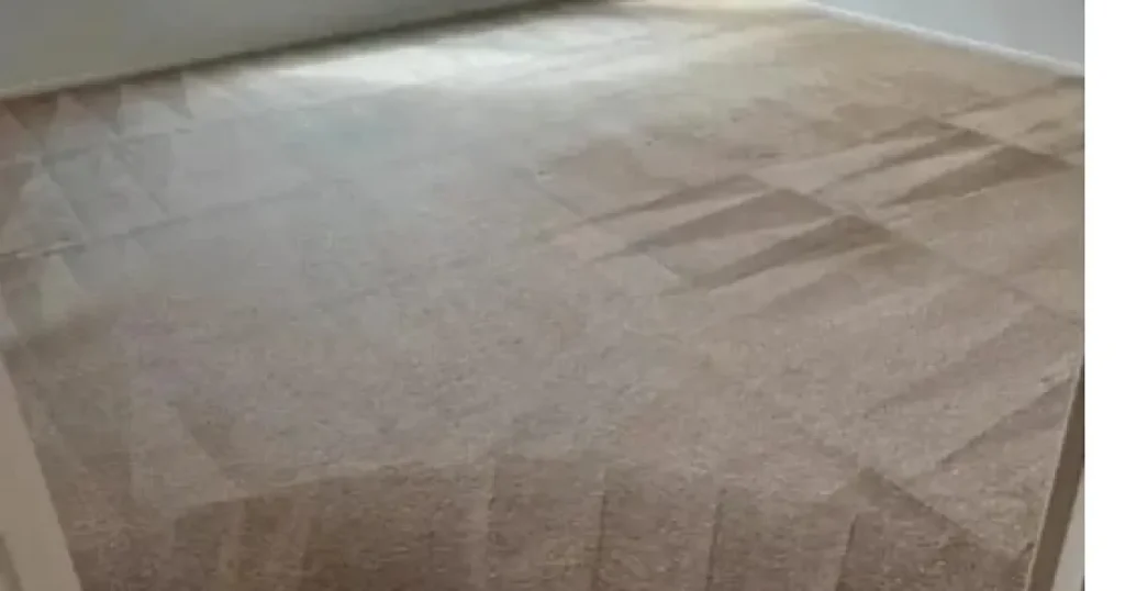 How Much Does Carpet Cleaning Cost in Erie, PA? (2026 Pricing Guide)