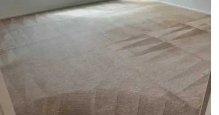Freshly cleaned residential carpet in Erie, PA