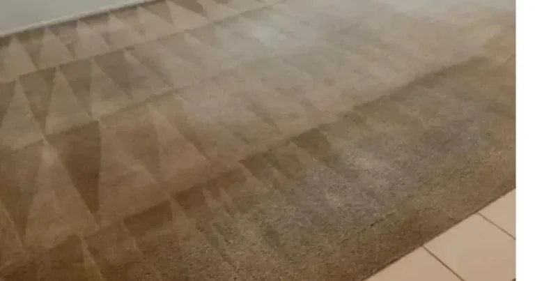Deep cleaned carpet showing restored fibers in Erie, PA