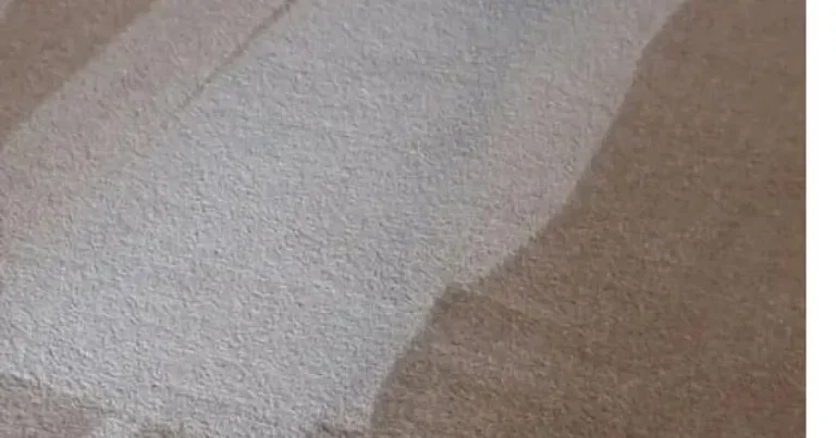 Professional truck-mount carpet cleaning in Erie, PA
