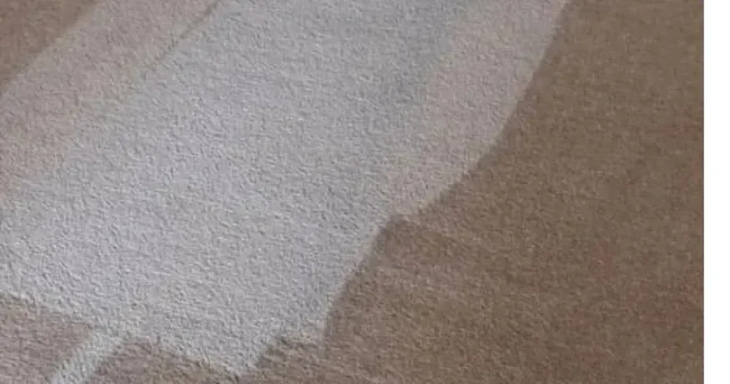 How Often Should Carpets Be Professionally Cleaned? A 2026 Guide for Erie, PA Homes
