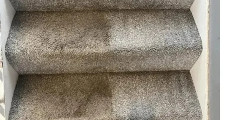 Carpeted stairs cleaned of winter road salt residue in Erie, PA